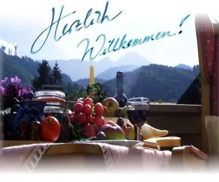 Guest house Mariandl 3*