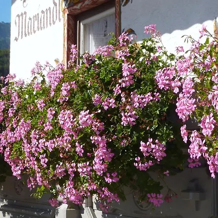 Guest house Mariandl